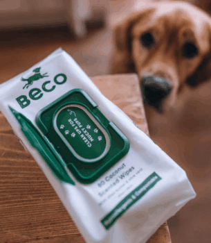 Beco Bamboo Coconut Scented Dog Wipes