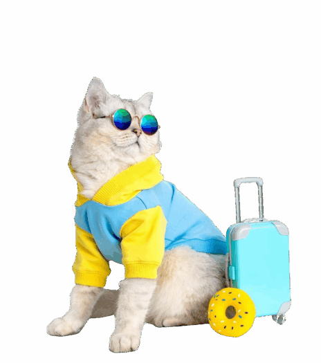 pet-relocat-catA